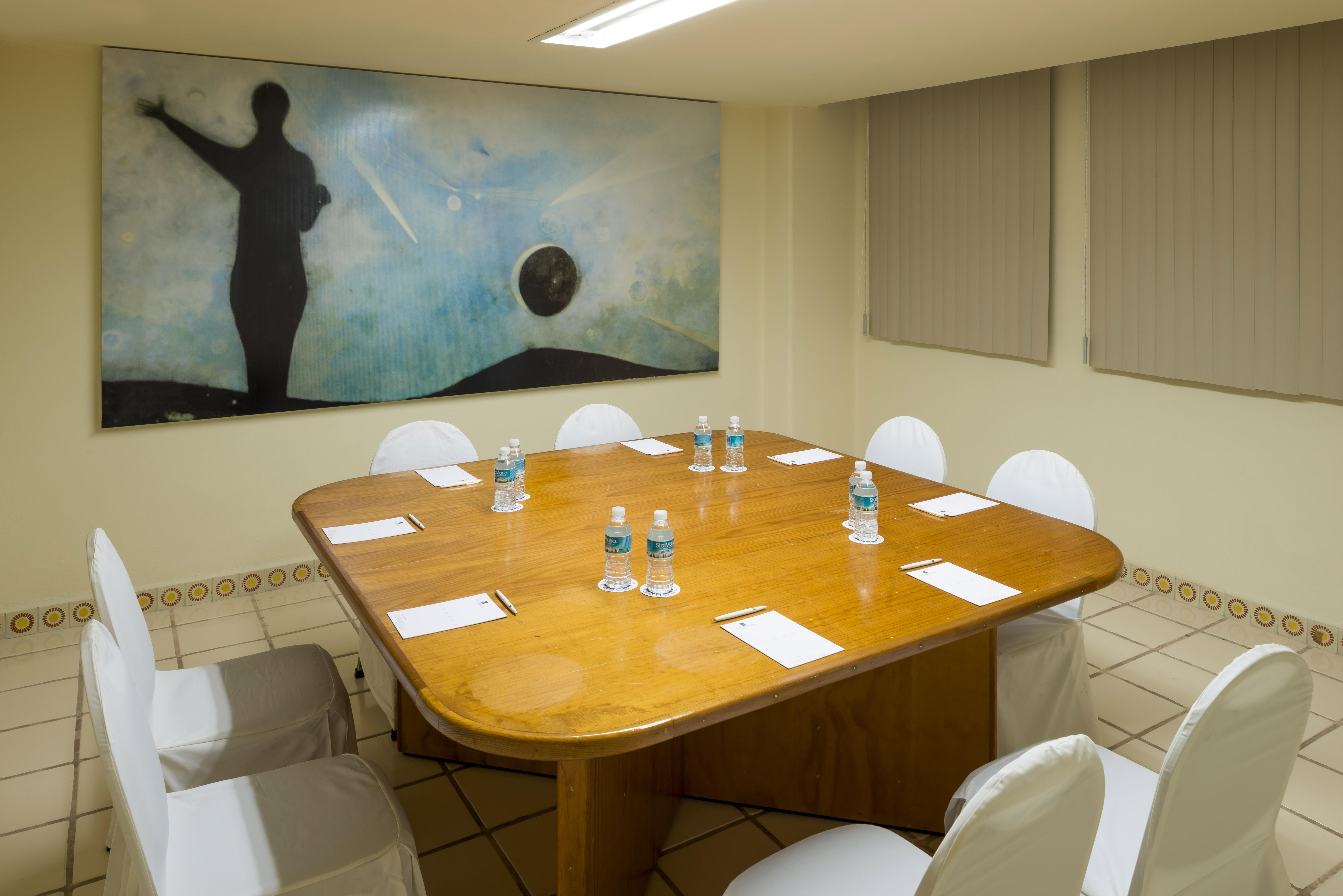 阿卡普尔科迪亚曼特卡米诺里尔酒店 外观 照片 Meeting room